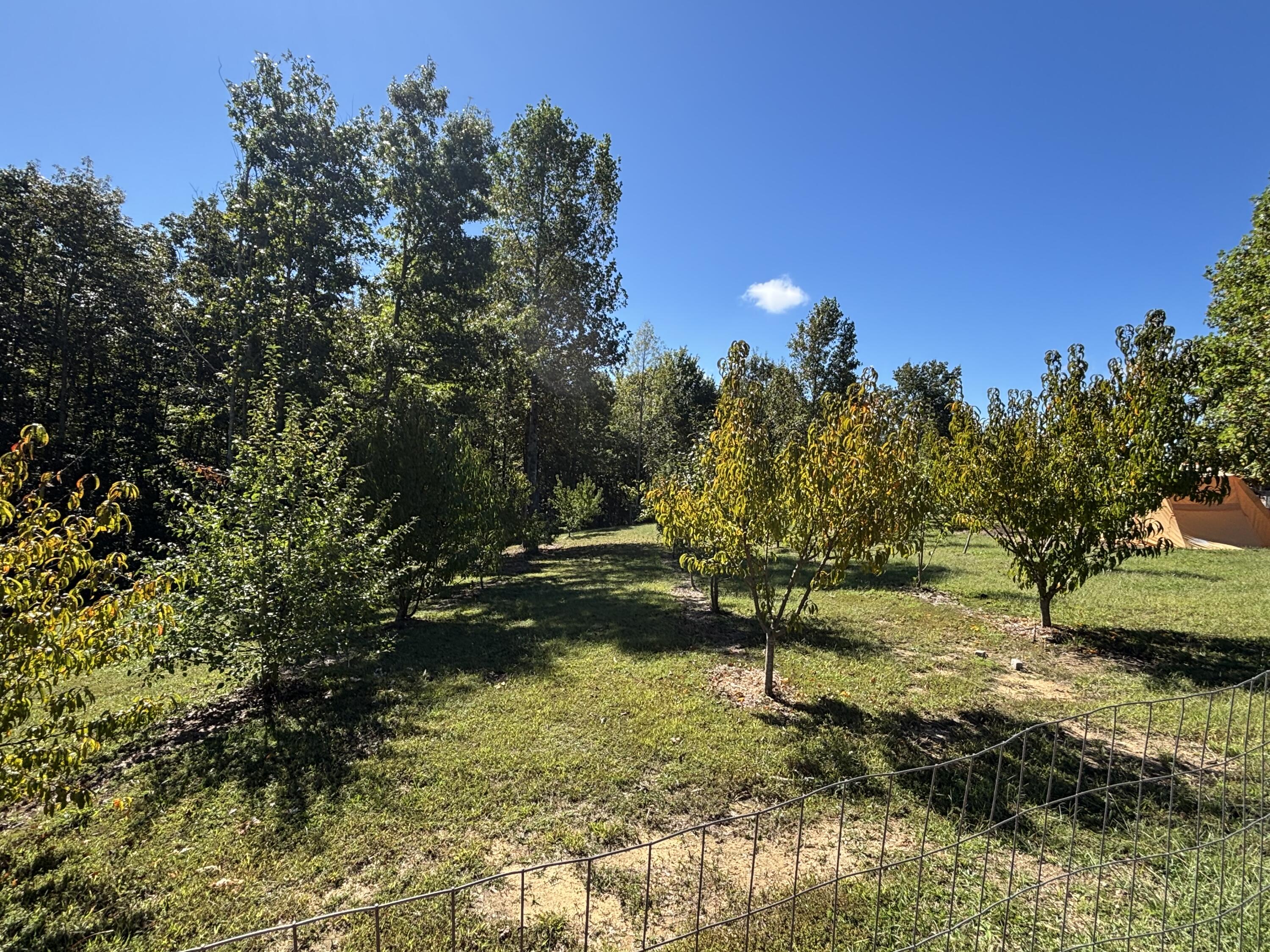 3128 Browns Trace Road South Pittsburg, TN 37380 - Photo 107 of 160 Photo Oct 01 2025, 11 40 54 AM