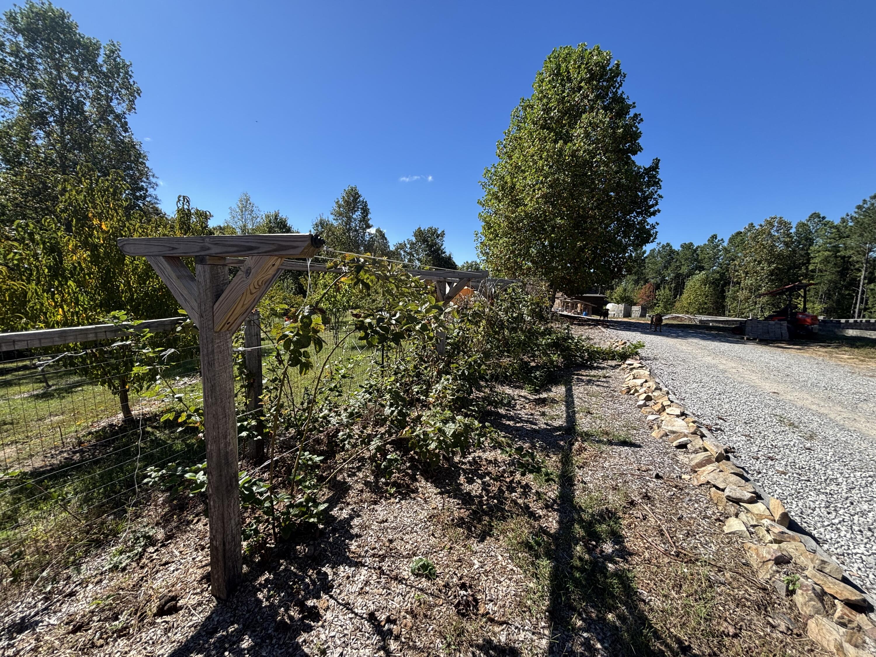 3128 Browns Trace Road South Pittsburg, TN 37380 - Photo 118 of 160 Photo Oct 01 2025, 11 43 48 AM