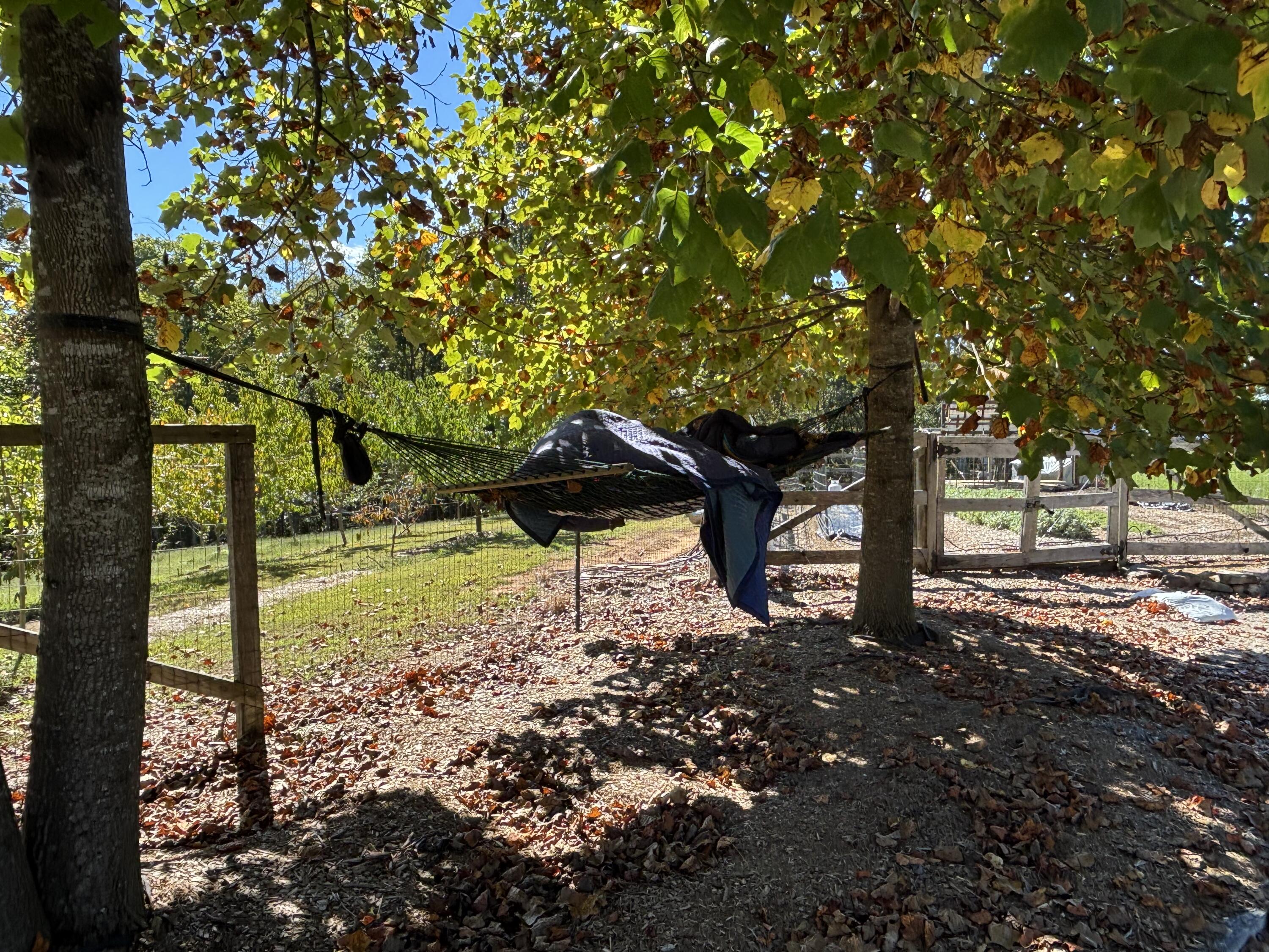 3128 Browns Trace Road South Pittsburg, TN 37380 - Photo 130 of 160 Photo Oct 01 2025, 11 48 00 AM