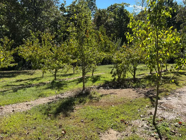 $699,900 | 3128 Browns Trace Road, South Pittsburg, TN 37380