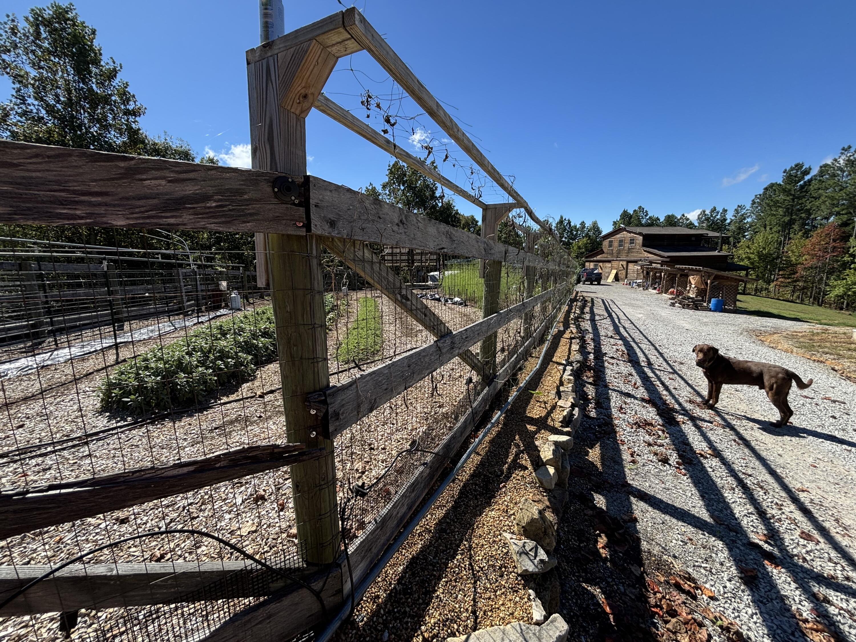 3128 Browns Trace Road South Pittsburg, TN 37380 - Photo 134 of 160 Photo Oct 01 2025, 11 49 43 AM