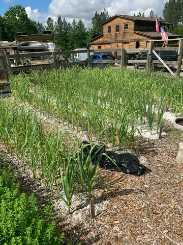 $699,900 | 3128 Browns Trace Road, South Pittsburg, TN 37380