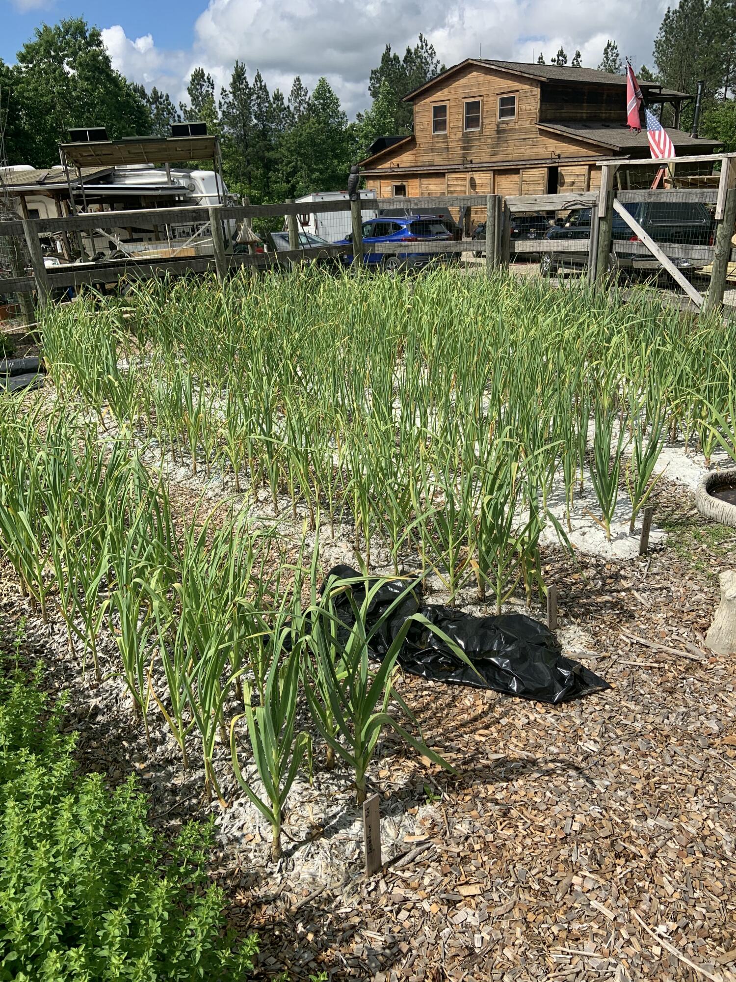 3128 Browns Trace Road South Pittsburg, TN 37380 - Photo 137 of 160 IMG_20250929_051815