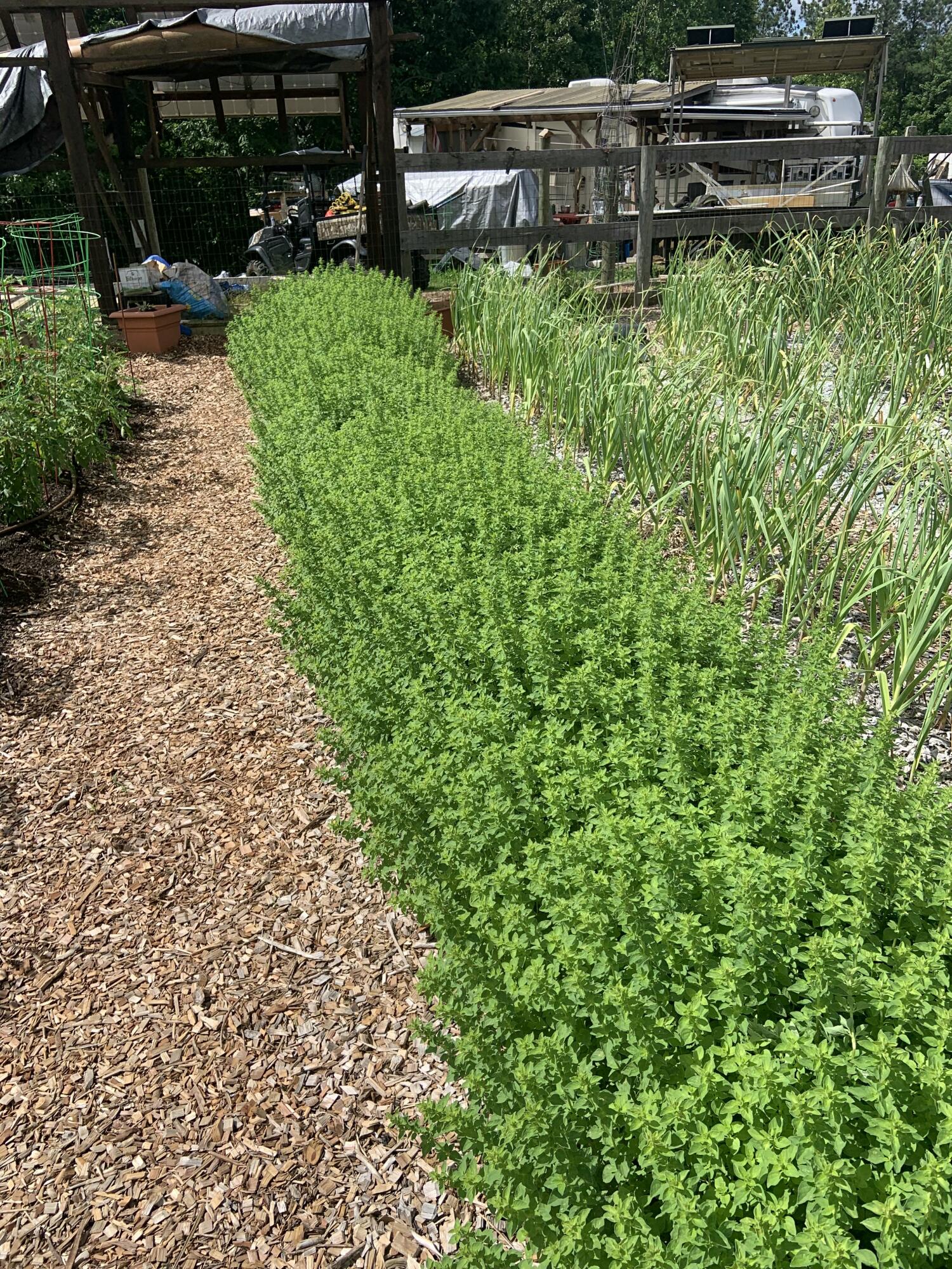 3128 Browns Trace Road South Pittsburg, TN 37380 - Photo 138 of 160 IMG_20250929_051821