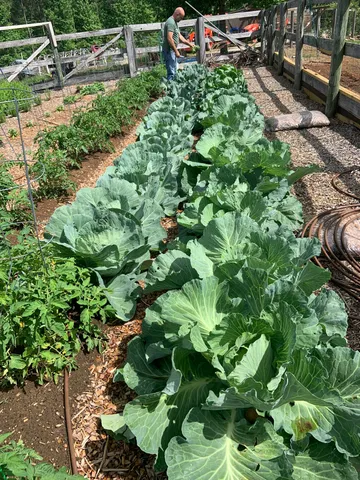 $699,900 | 3128 Browns Trace Road, South Pittsburg, TN 37380