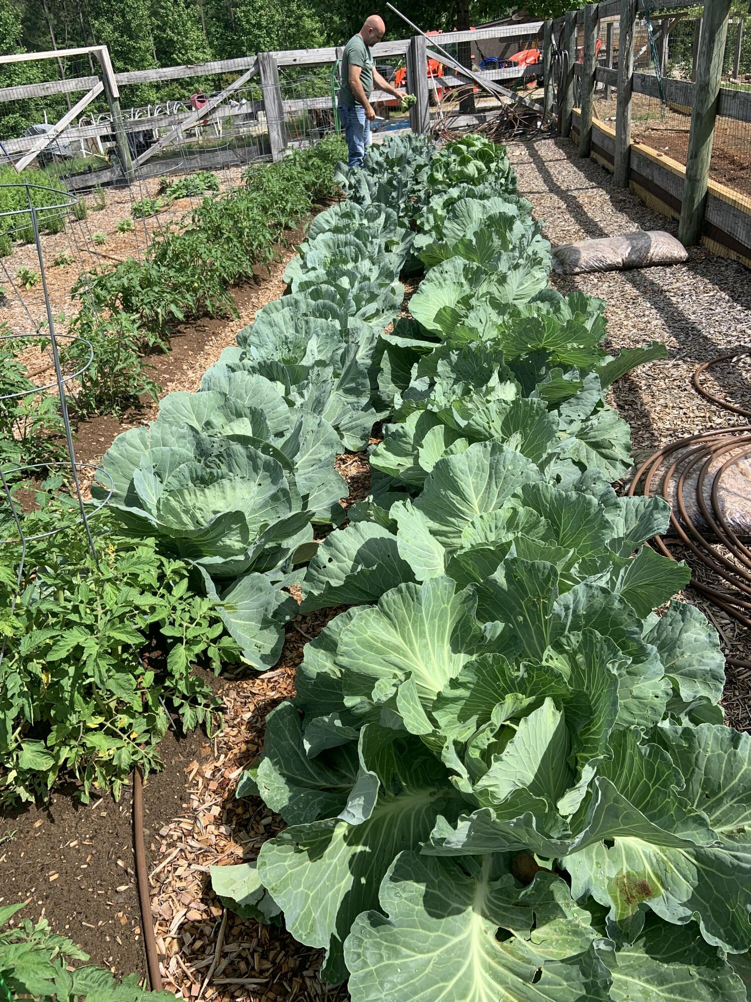 3128 Browns Trace Road South Pittsburg, TN 37380 - Photo 139 of 160 IMG_20250929_051837