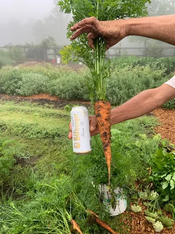 $699,900 | 3128 Browns Trace Road, South Pittsburg, TN 37380