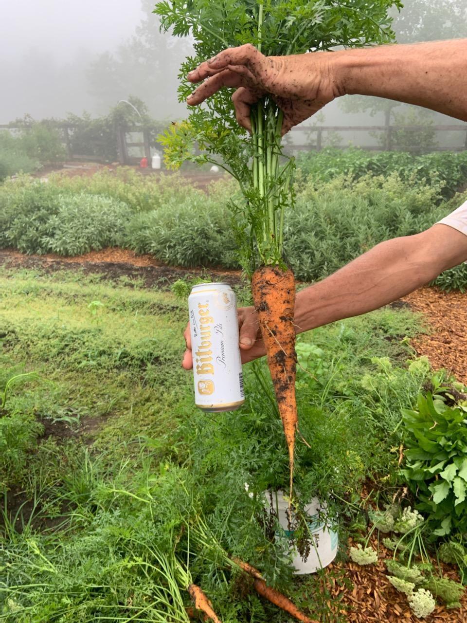 3128 Browns Trace Road South Pittsburg, TN 37380 - Photo 140 of 160 carrot-bitburger