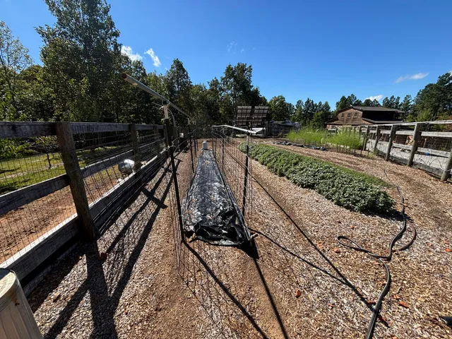 $699,900 | 3128 Browns Trace Road, South Pittsburg, TN 37380