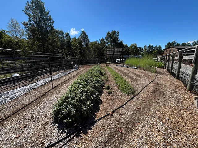 $699,900 | 3128 Browns Trace Road, South Pittsburg, TN 37380