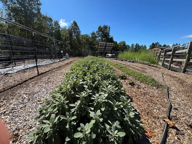 $699,900 | 3128 Browns Trace Road, South Pittsburg, TN 37380