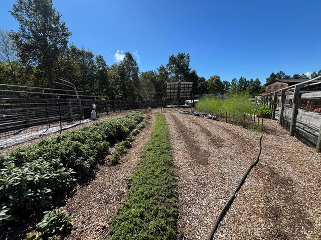 $699,900 | 3128 Browns Trace Road, South Pittsburg, TN 37380