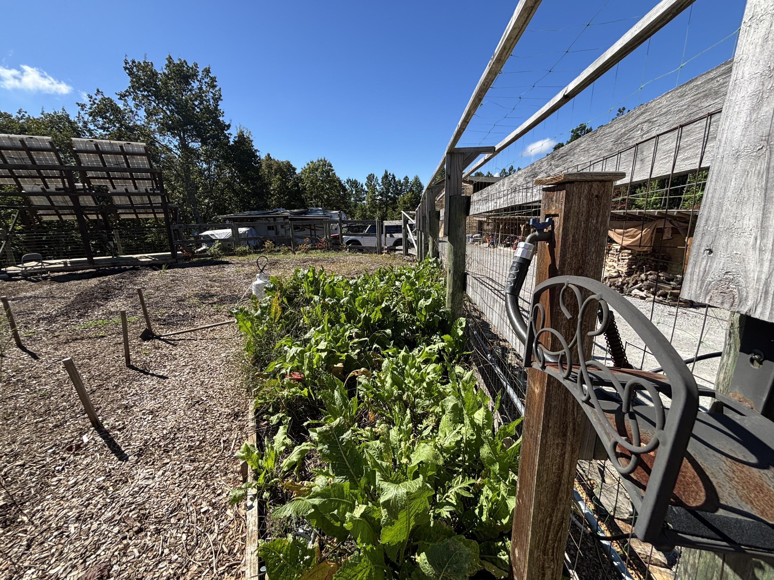 3128 Browns Trace Road South Pittsburg, TN 37380 - Photo 147 of 160 Photo Oct 01 2025, 11 51 11 AM