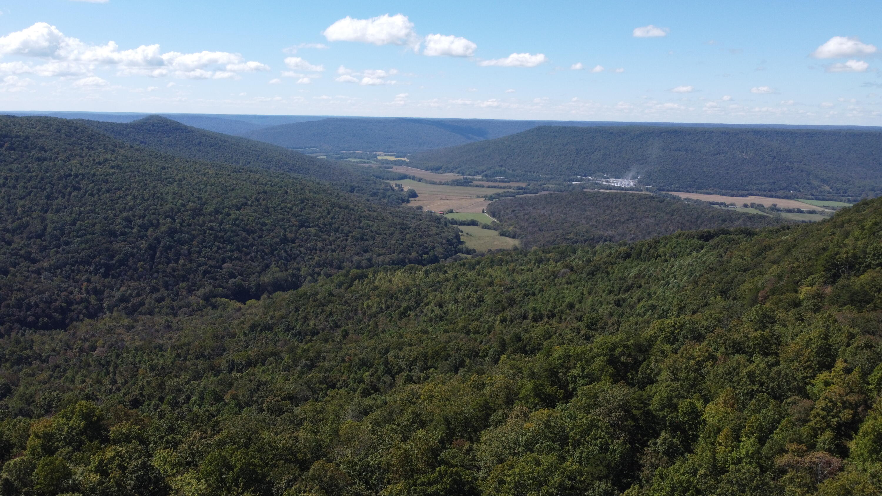 3128 Browns Trace Road South Pittsburg, TN 37380 - Photo 75 of 160 Photo Oct 01 2025, 1 36 02 PM