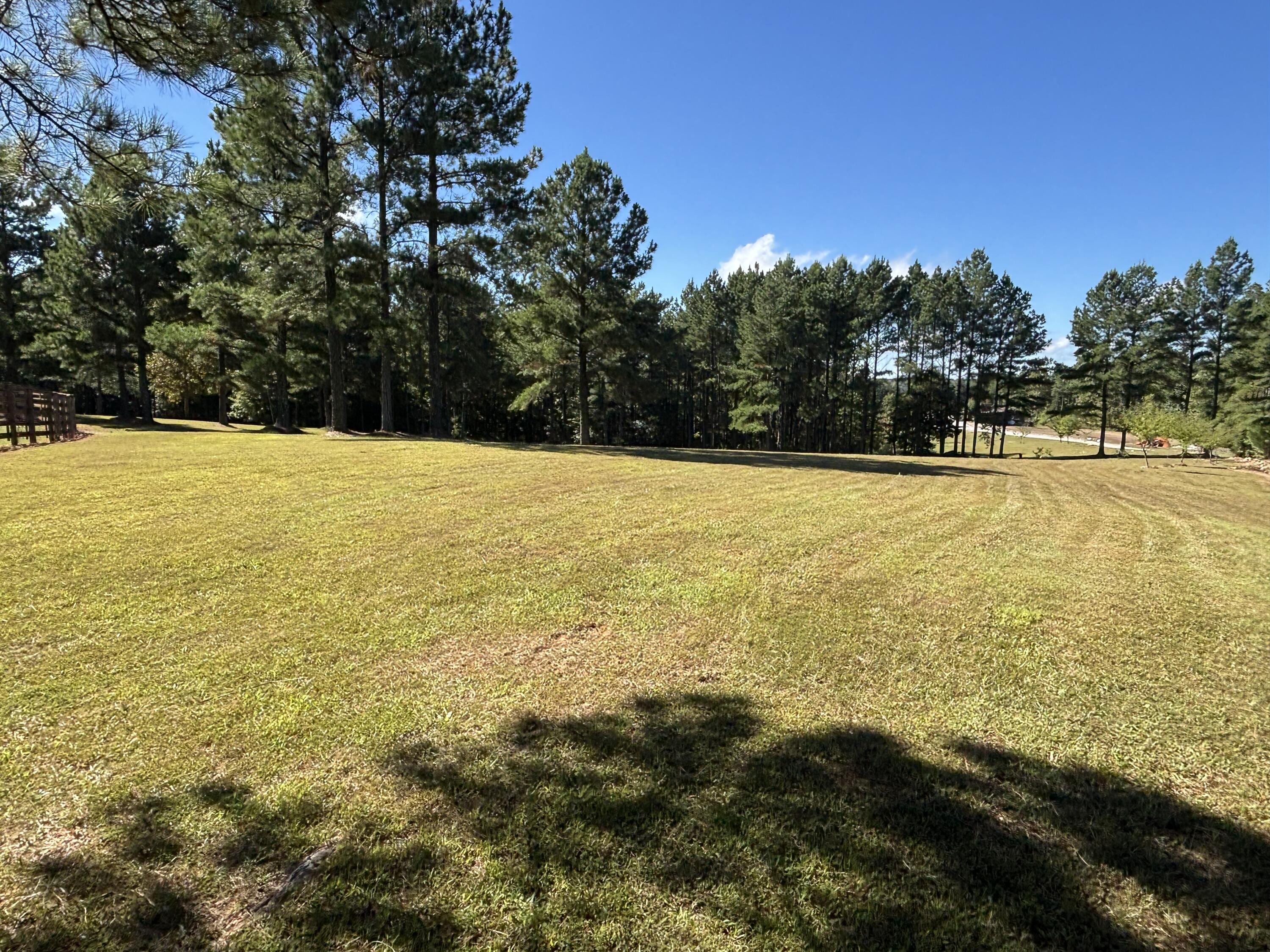 3128 Browns Trace Road South Pittsburg, TN 37380 - Photo 90 of 160 Photo Oct 01 2025, 11 32 11 AM