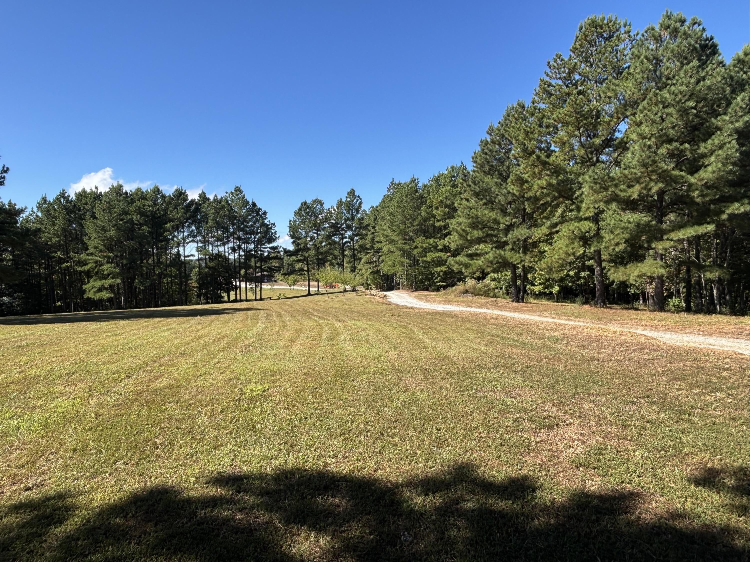 3128 Browns Trace Road South Pittsburg, TN 37380 - Photo 91 of 160 Photo Oct 01 2025, 11 32 15 AM