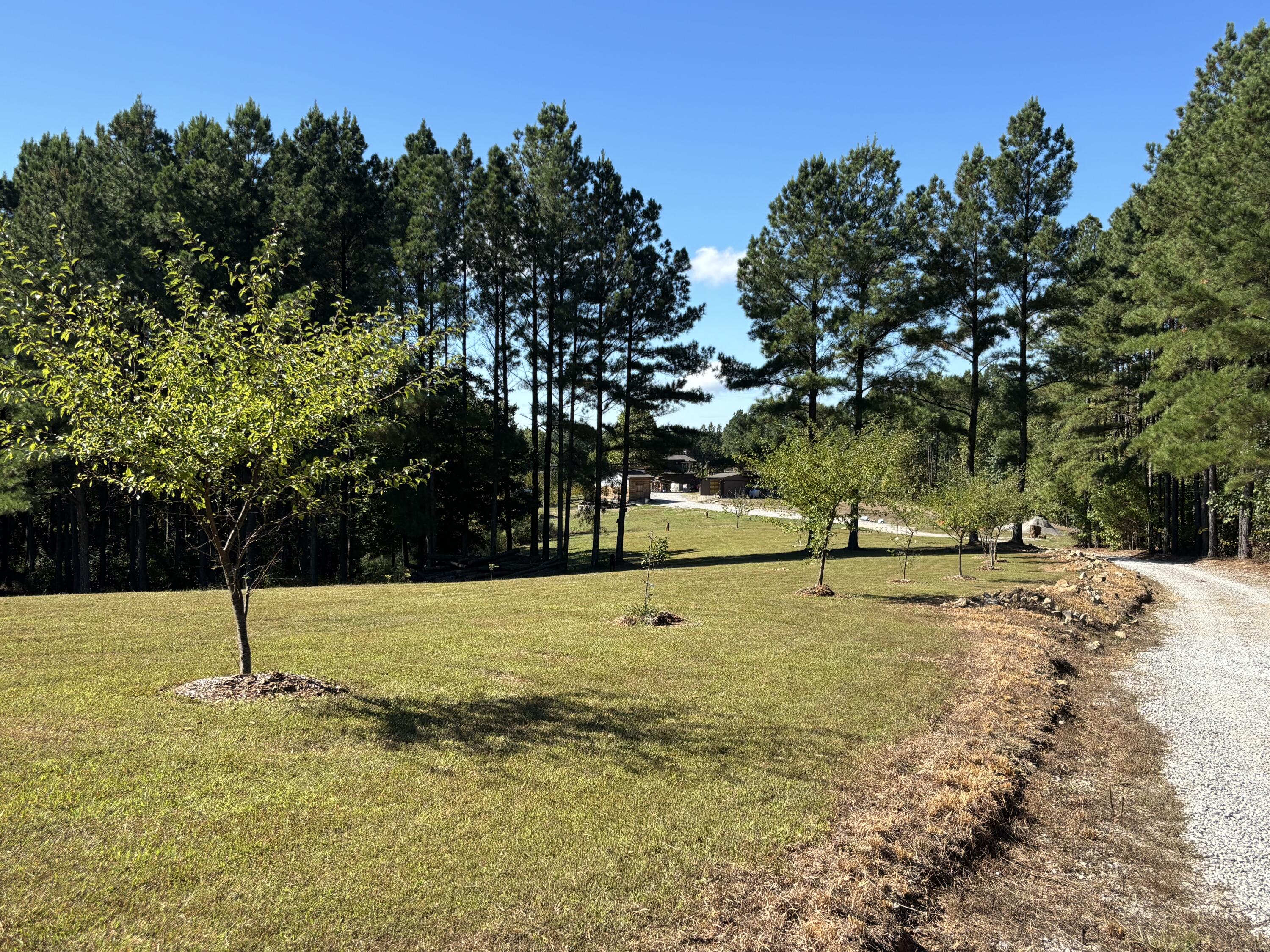 3128 Browns Trace Road South Pittsburg, TN 37380 - Photo 92 of 160 Photo Oct 01 2025, 11 33 16 AM