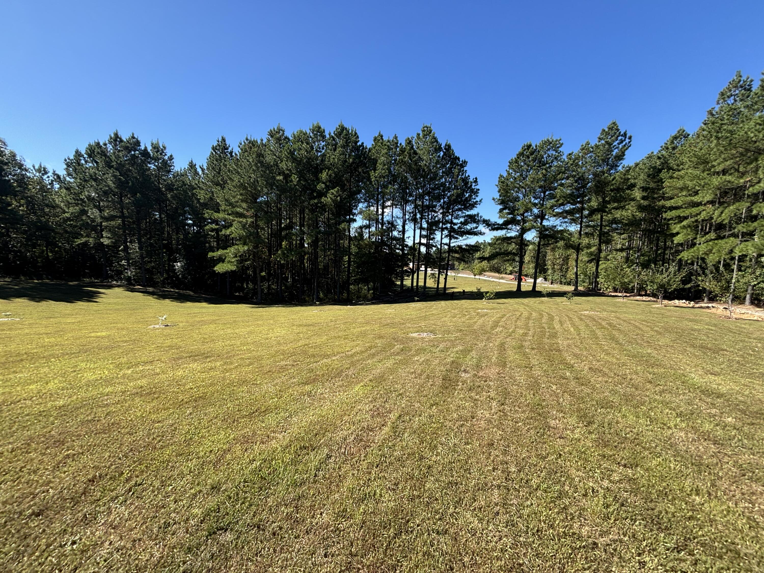 3128 Browns Trace Road South Pittsburg, TN 37380 - Photo 94 of 160 Photo Oct 01 2025, 11 34 01 AM