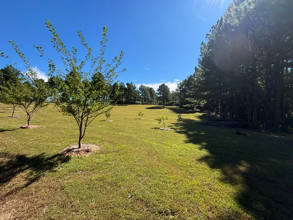 $699,900 | 3128 Browns Trace Road, South Pittsburg, TN 37380