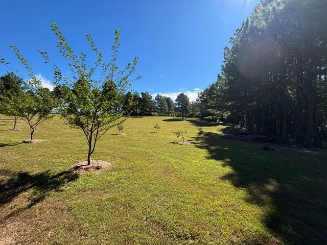 $699,900 | 3128 Browns Trace Road, South Pittsburg, TN 37380