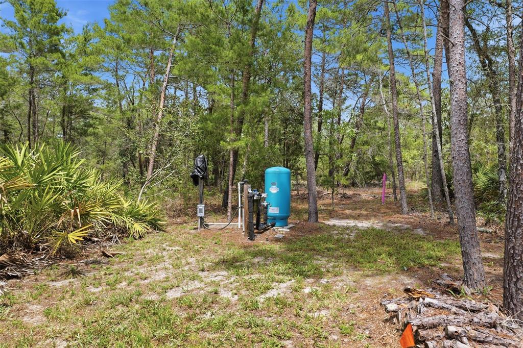 18296 Maberly Road Weeki Wachee, FL 34614 - Photo 46 of 53