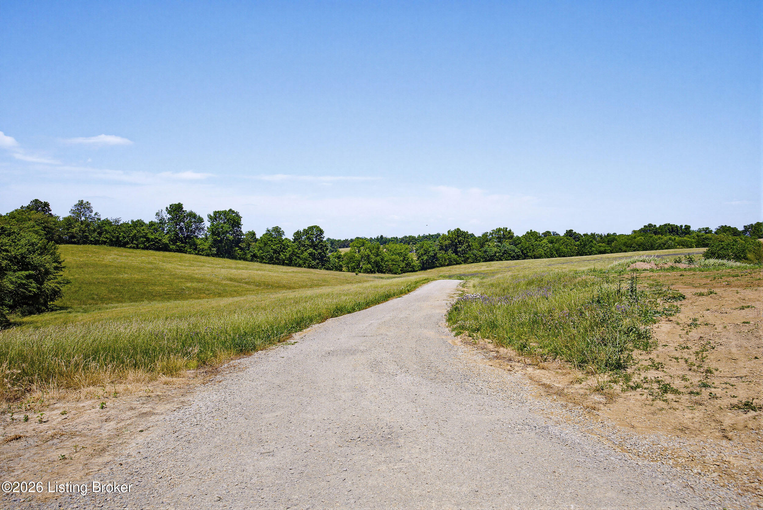 154 Farm View Drive Springfield, KY 40069 - Photo 16 of 61 154FarmviewDr-13