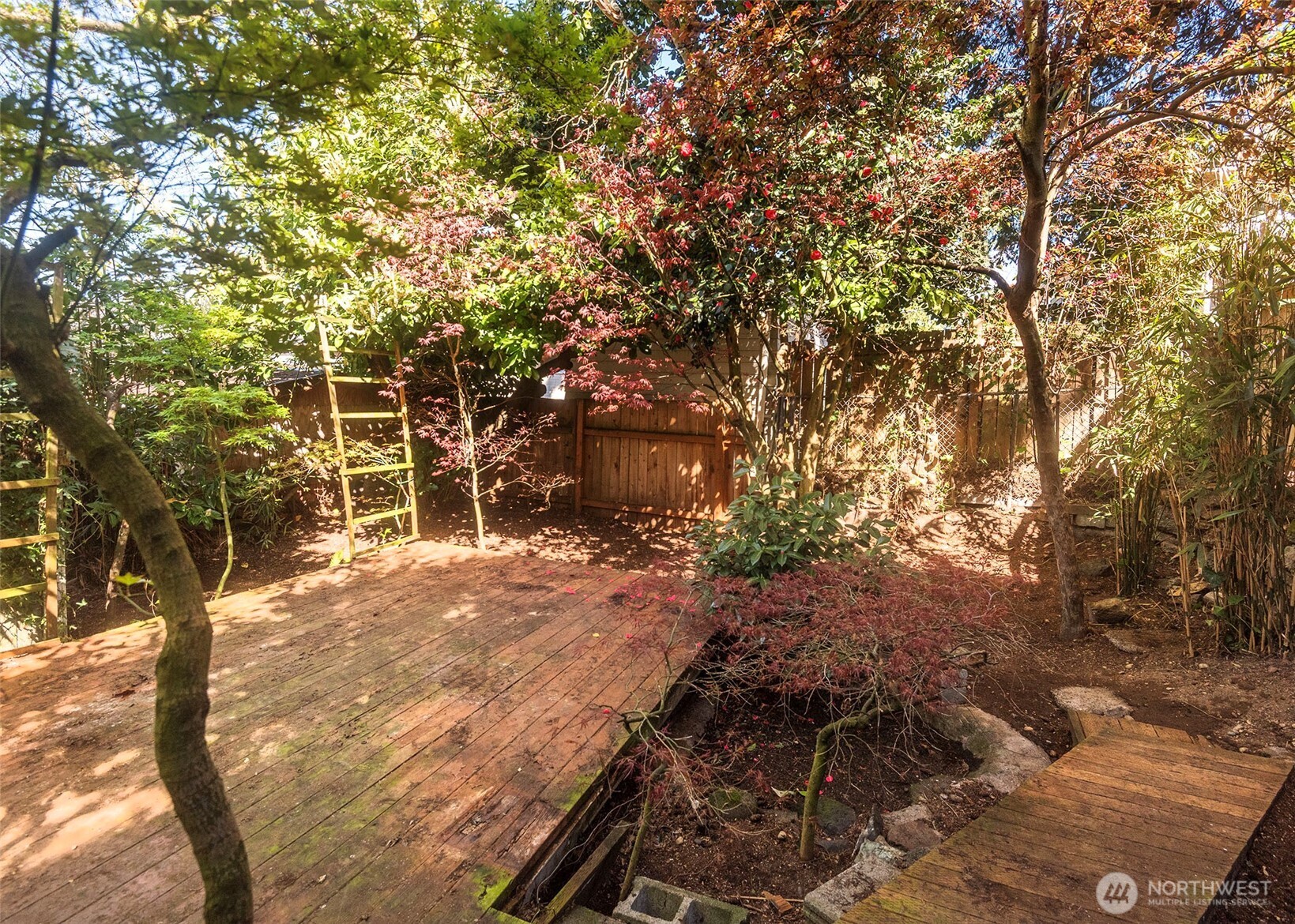 2214 North 60th Street Seattle, WA 98103 - Photo 20 of 22 a view of a yard with plants and trees