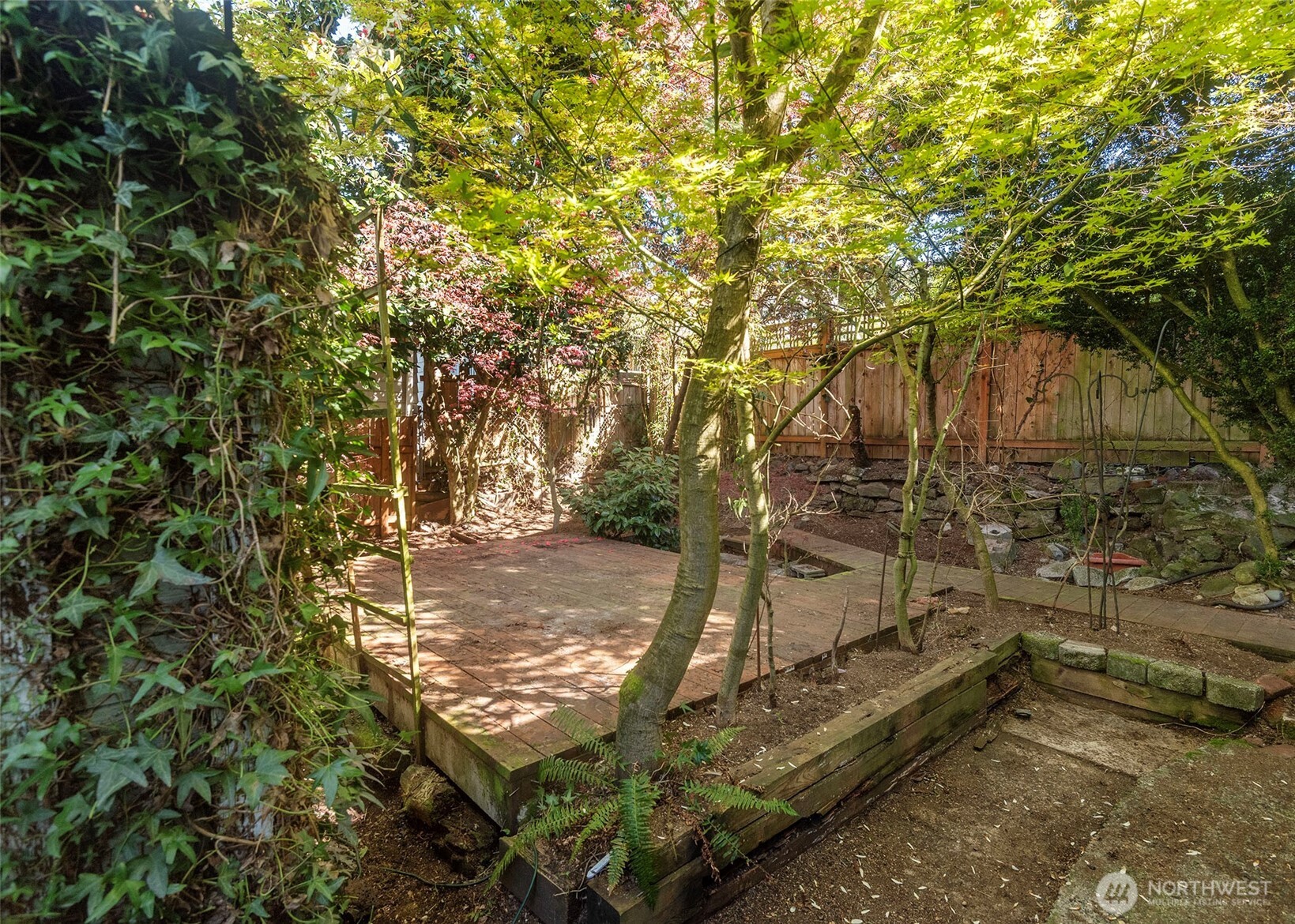 2214 North 60th Street Seattle, WA 98103 - Photo 22 of 22 a view of yard with trees