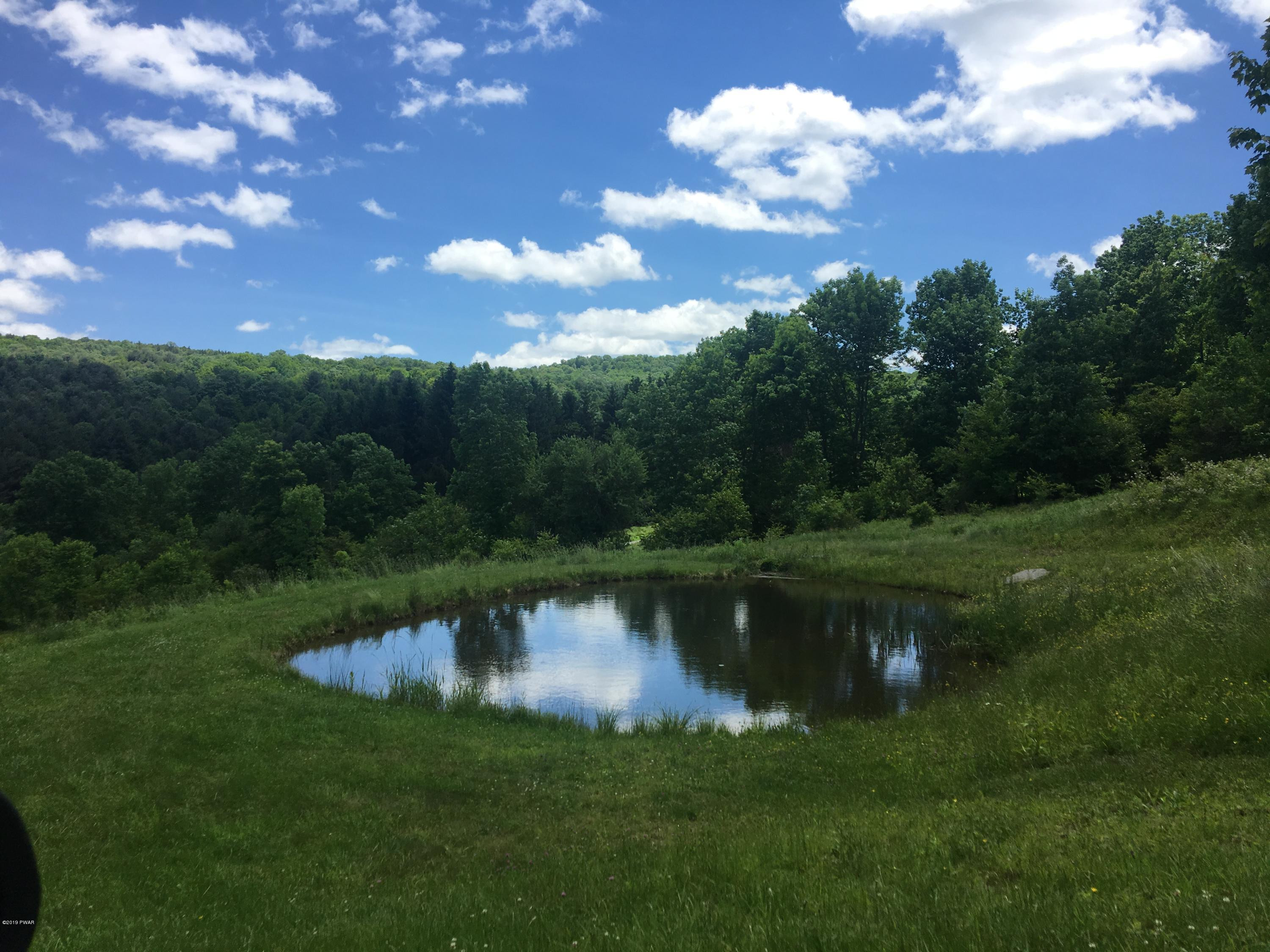 1199 Pine Mill Road Equinunk, PA 18417 - Photo 4 of 27