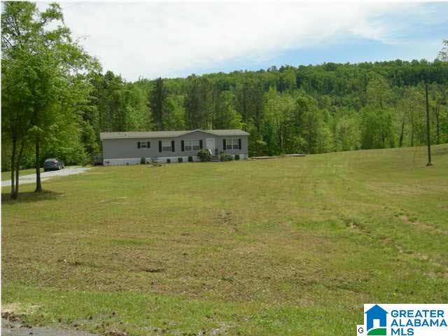 60 Waldrop Road Ashville, AL 35953 - Photo 4 of 23