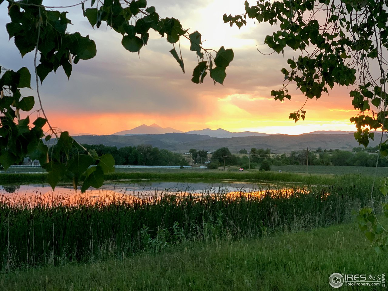 8850 North County Line Road Longmont, CO 80503 - Photo 3 of 39 Gallery Image 3