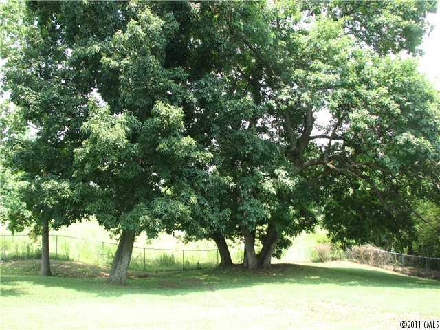16645 Dooley Road Cleveland, NC 27013 - Photo 8 of 12