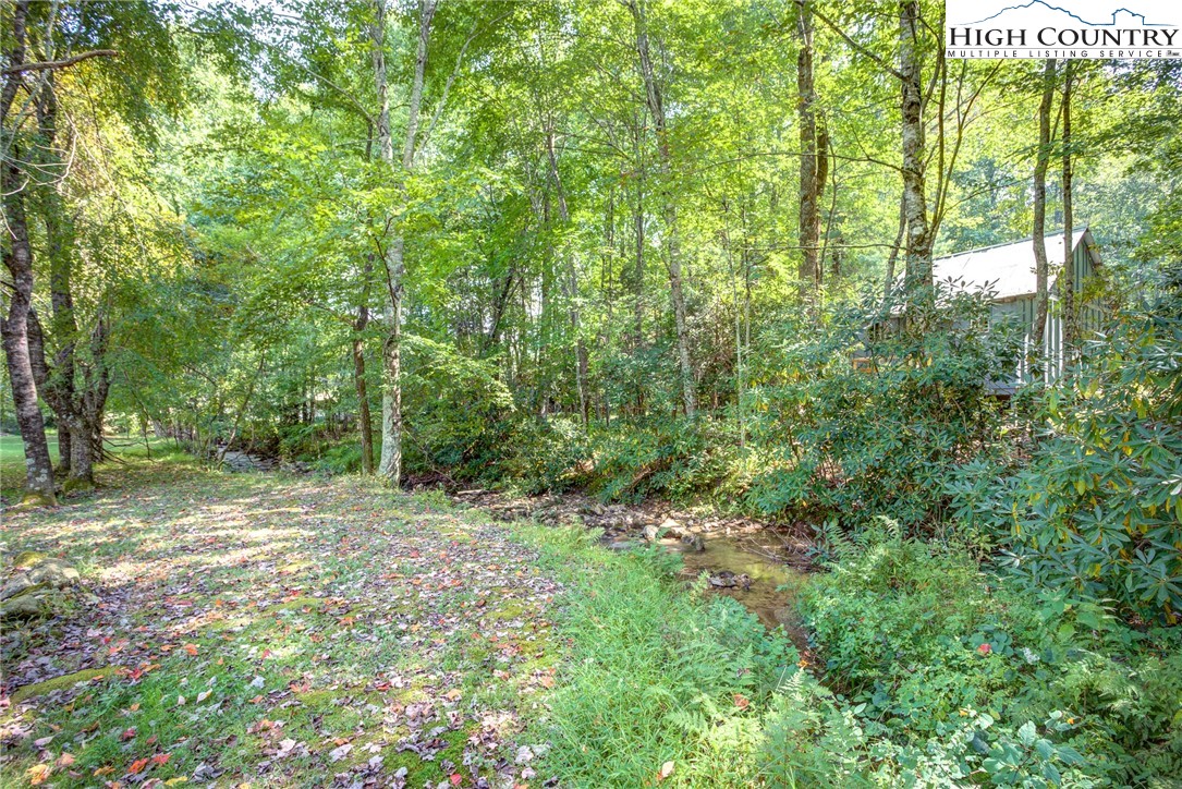3664 Wildcat Road Deep Gap, NC 28618 - Photo 44 of 44 a view of a yard with a tree