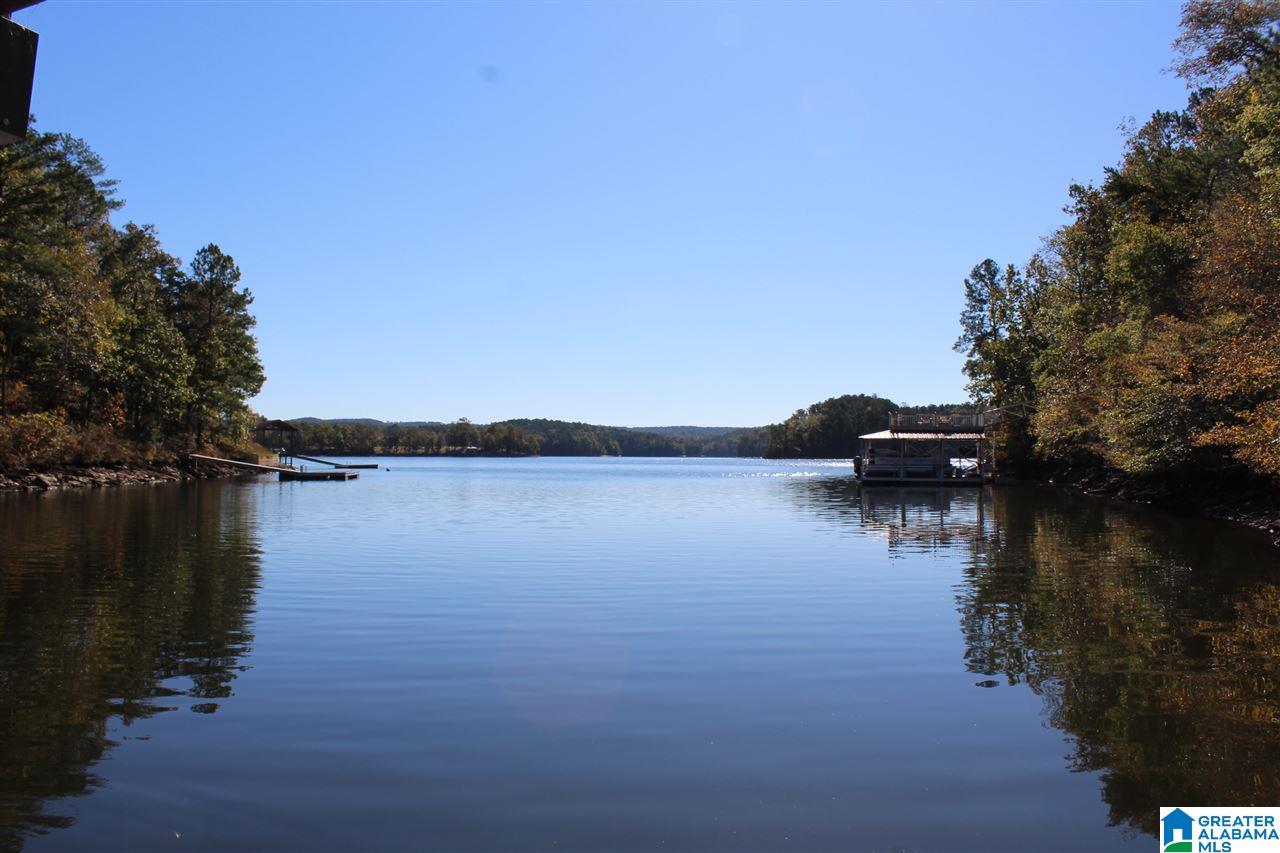 779 County Road 897 Wedowee, AL 36278 - Photo 4 of 37