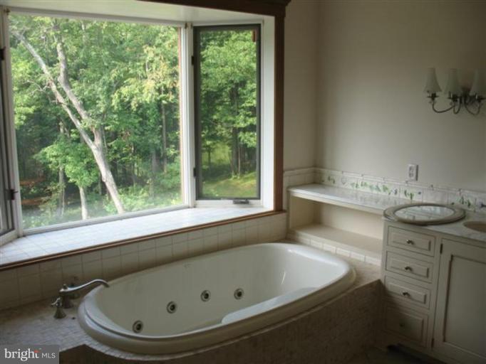 37319 Branchriver Road Purcellville, VA 20132 - Photo 8 of 13 Master Bath