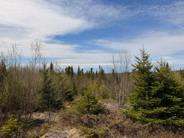 $59,000 | 76 Morancy Road, Sullivan, ME 04664