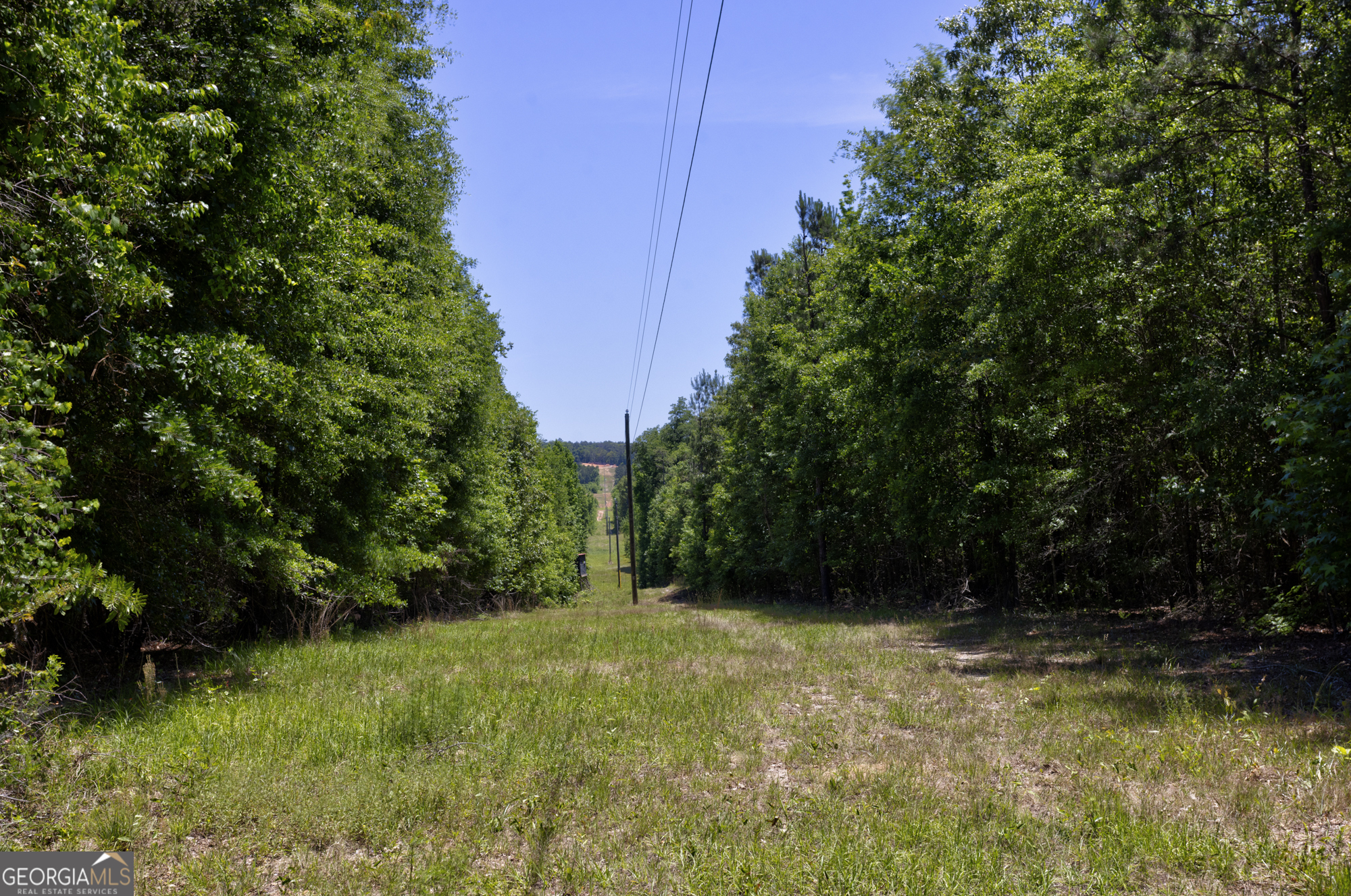 0 Old Griswoldville Road Macon, GA 31217 - Photo 20 of 62