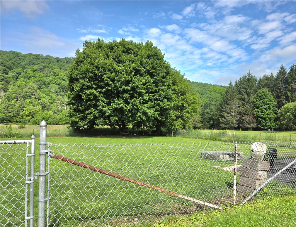 653 Breesport N Chemung Road Baldwin, NY 14861 - Photo 16 of 17