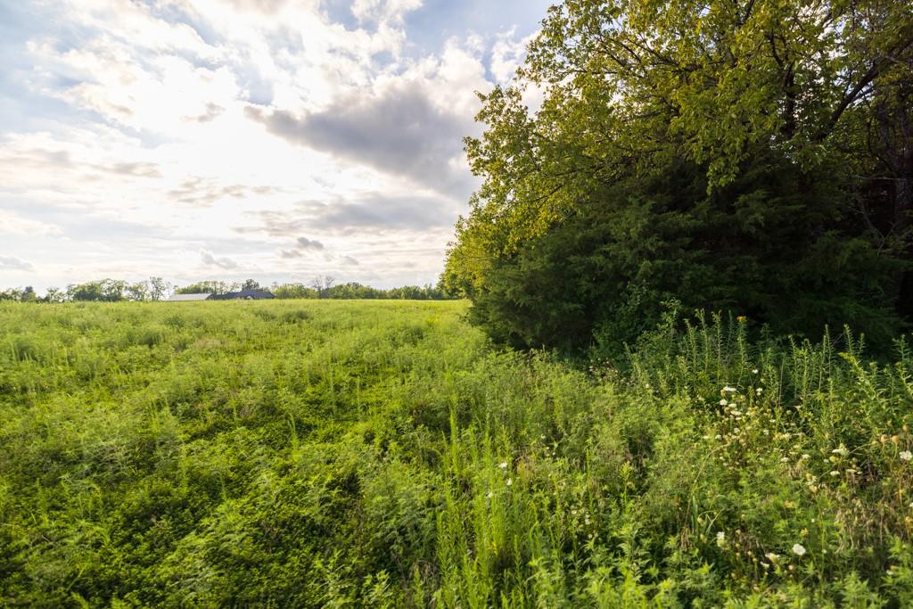Lot 5 Timber Ridge Drive Peculiar, MO 64078 - Photo 24 of 27 Gallery Image 24