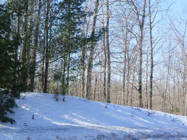 Lot 1 Northern Road Minocqua, WI 54548 - Photo 5 of 11 Gallery Image 5