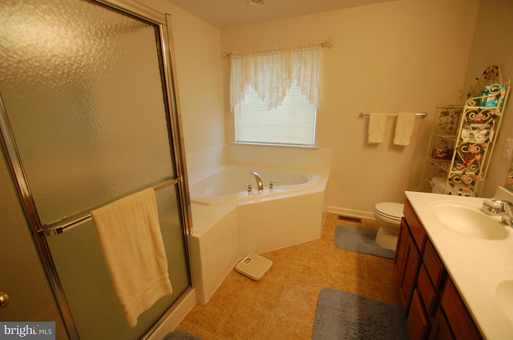 1954 Waltman Road Edgewood, MD 21040 - Photo 8 of 11 a bathroom with a sink a toilet and a tub
