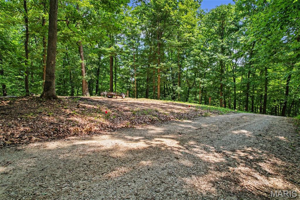 Undisclosed Undisclosed Ridge Cape Girardeau, MO 63701 - Photo 88 of 93