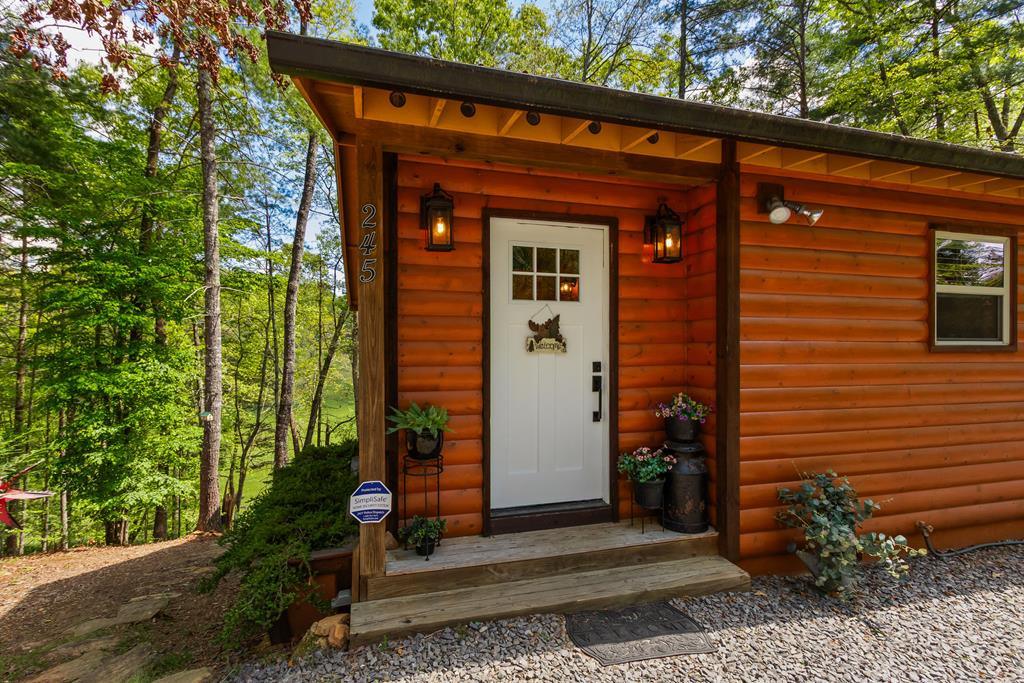 245 Fern Way Murphy, NC 28906 - Photo 5 of 59