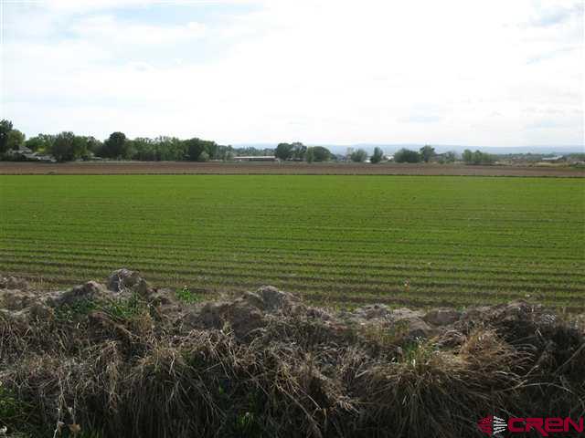 Tbd Tbd 1725th Road Delta, CO 81416 - Photo 6 of 13