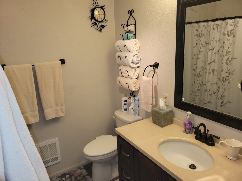 10525 Skunk Creek Road Cascade, ID 83611 - Photo 23 of 41 Recently remodeled primary bath