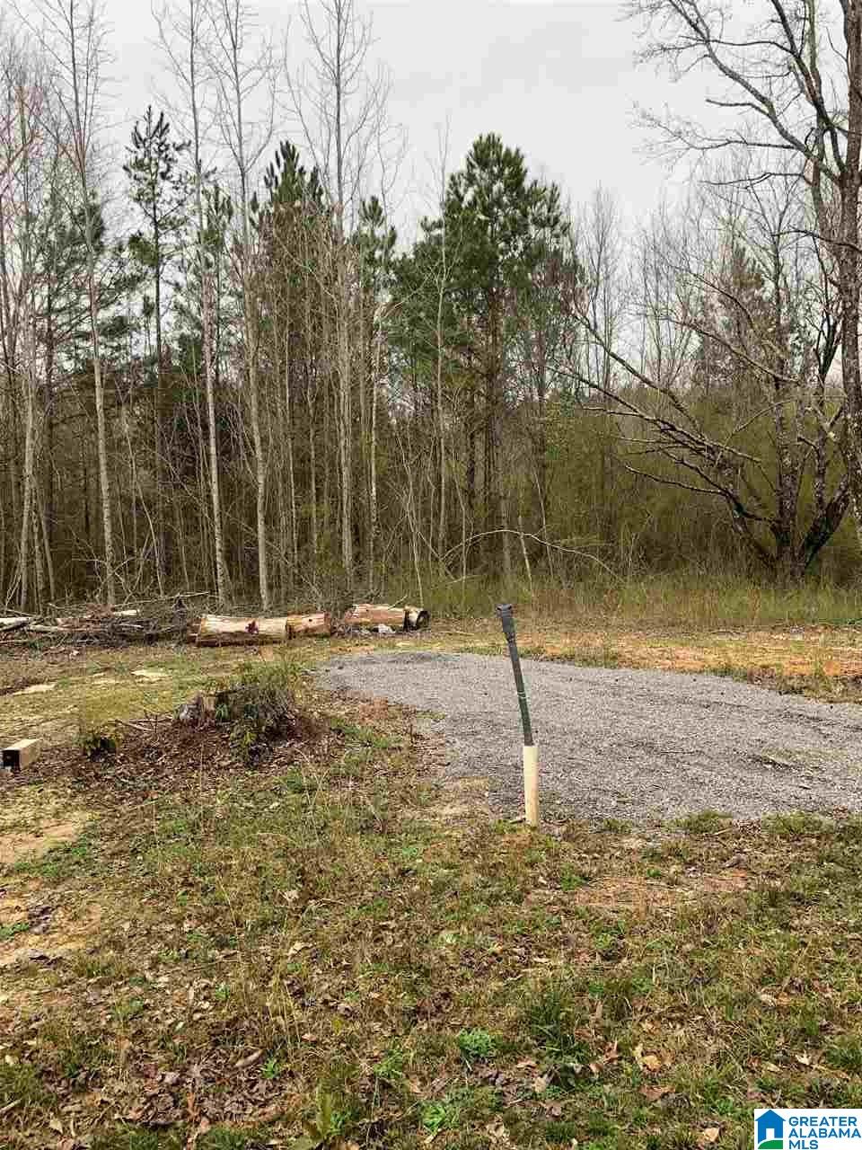 323 Yellow Hammer Road Blountsville, AL 35031 - Photo 1 of 9