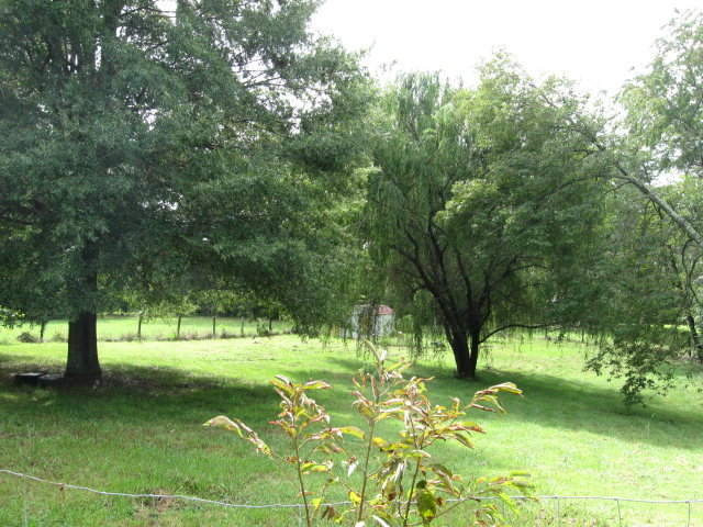 4886 Morgan Ford Road Ridgeway, VA 24148 - Photo 4 of 4 Back Yard