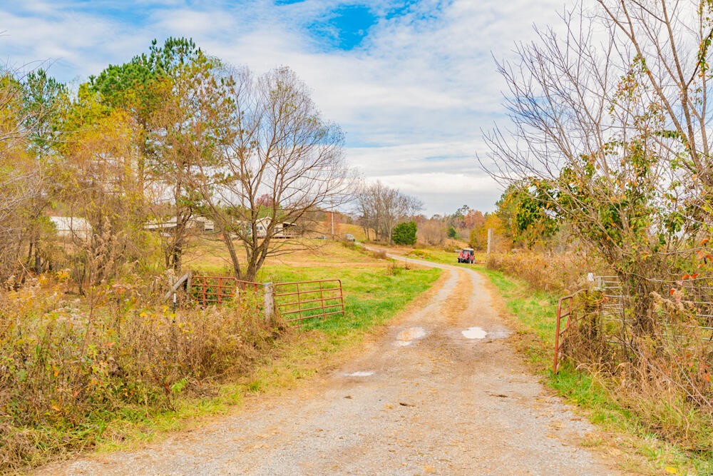 361 Liberty Church Road Old Fort, TN 37362 - Photo 13 of 100 Gallery Image 13