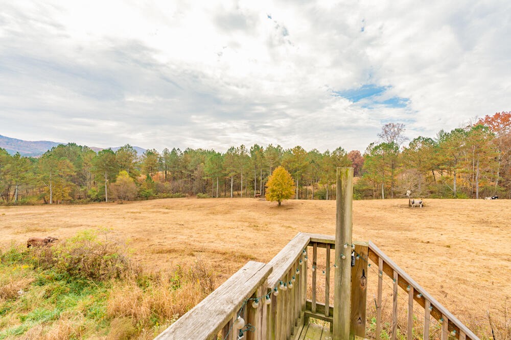361 Liberty Church Road Old Fort, TN 37362 - Photo 55 of 100 Gallery Image 55