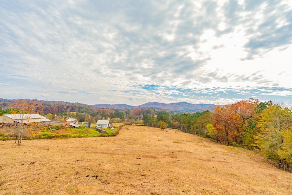 361 Liberty Church Road Old Fort, TN 37362 - Photo 77 of 100 Gallery Image 77
